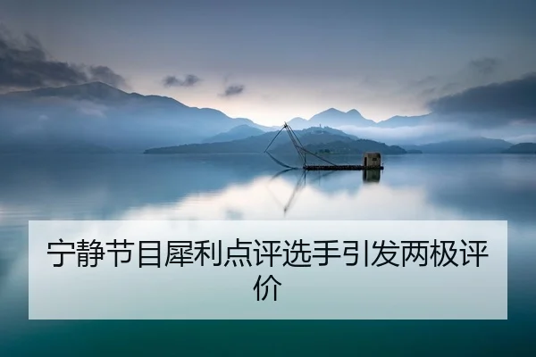 ning-jing-jie-mu-xi-li-dian-ping-xuan-shou-yin-fa-liang-ji-ping-jia-2-320.jpg